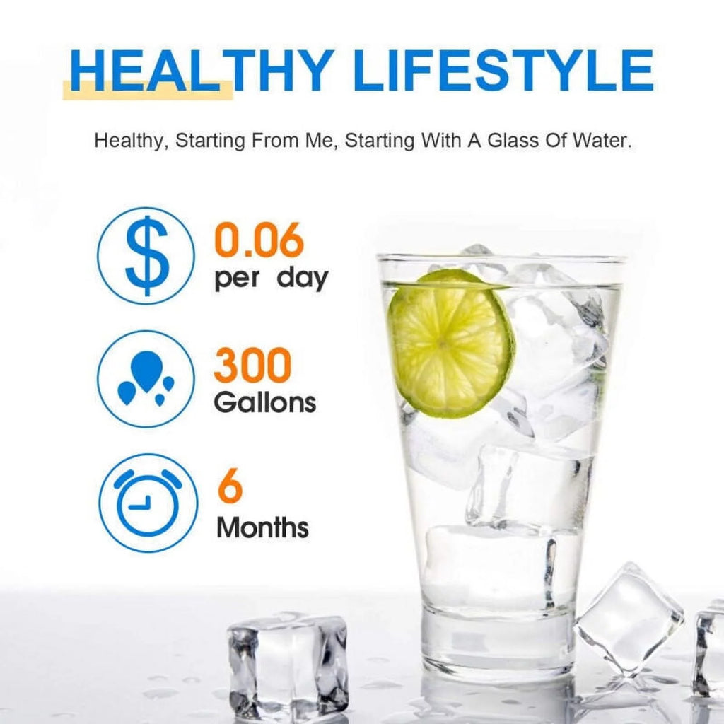 Refrigerator Water Filter T256959