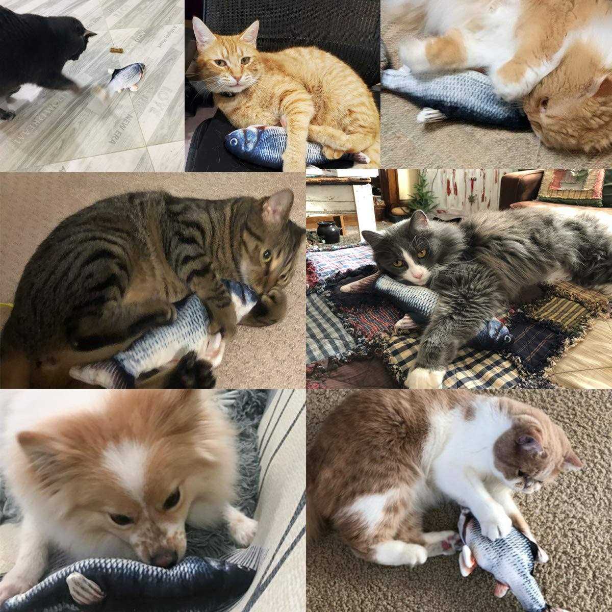 Electric Floppy Fish Cat Toy X588