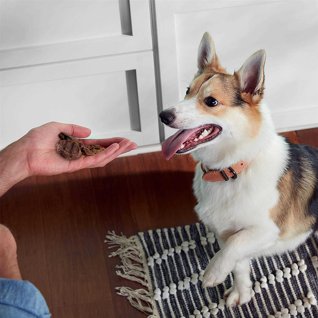 Dog Treats J720348