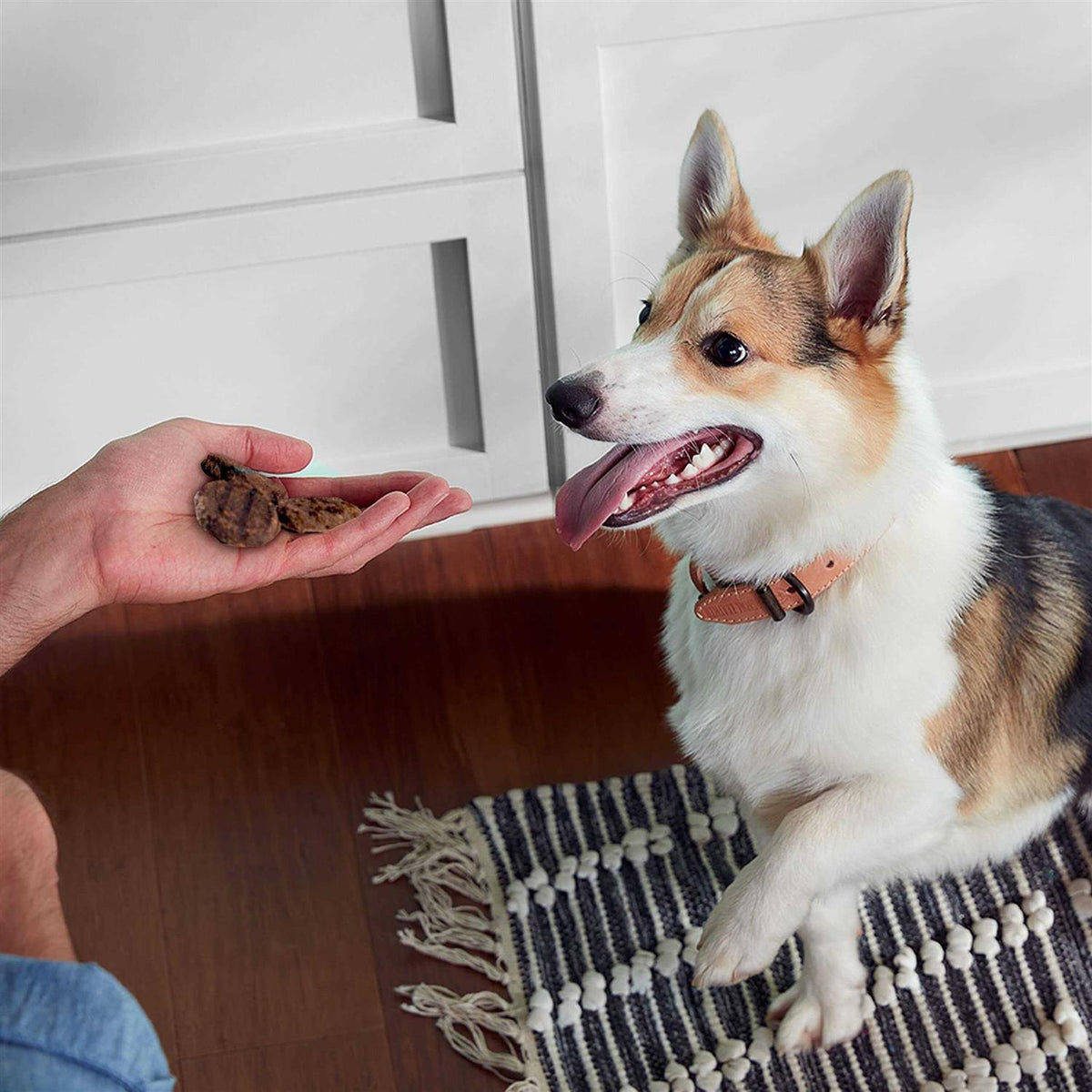 Dog Treats J720348