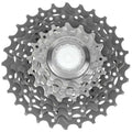 10 Speed Cassette W224