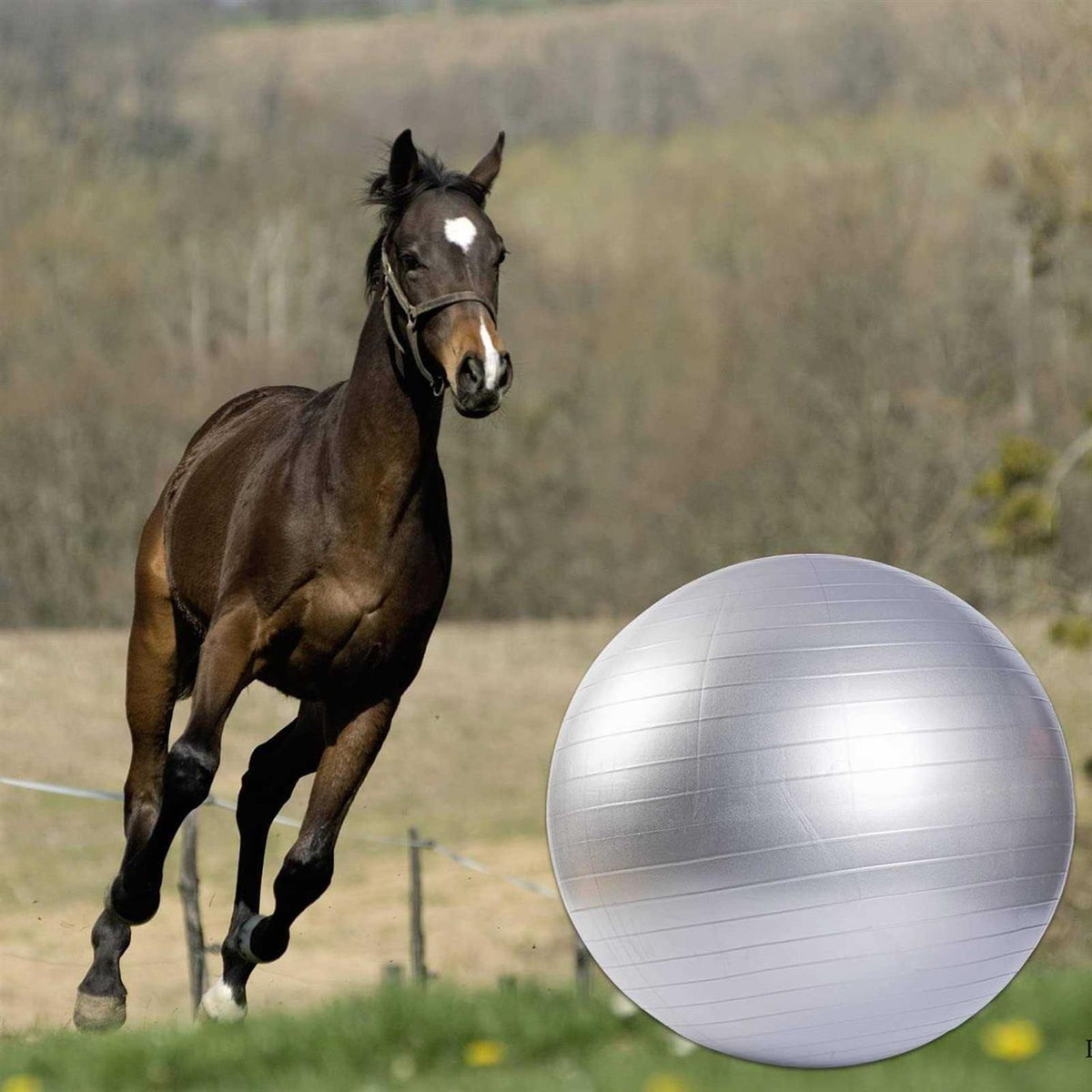 30 Inch Anti-Burst Horse Herding Ball with Pump W47309