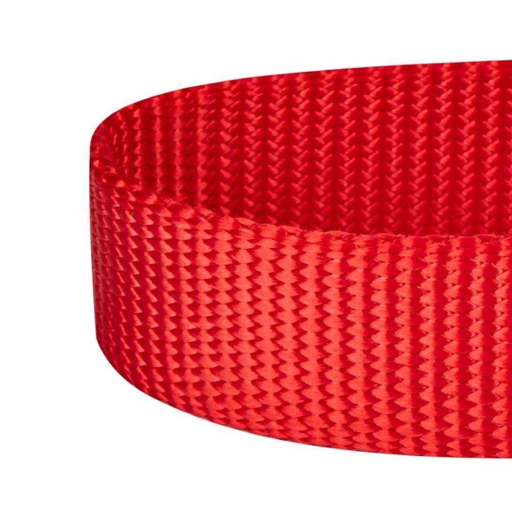 Classic Dog Collar F468