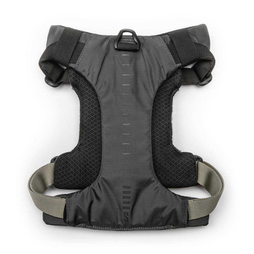 Dog Harness P204008